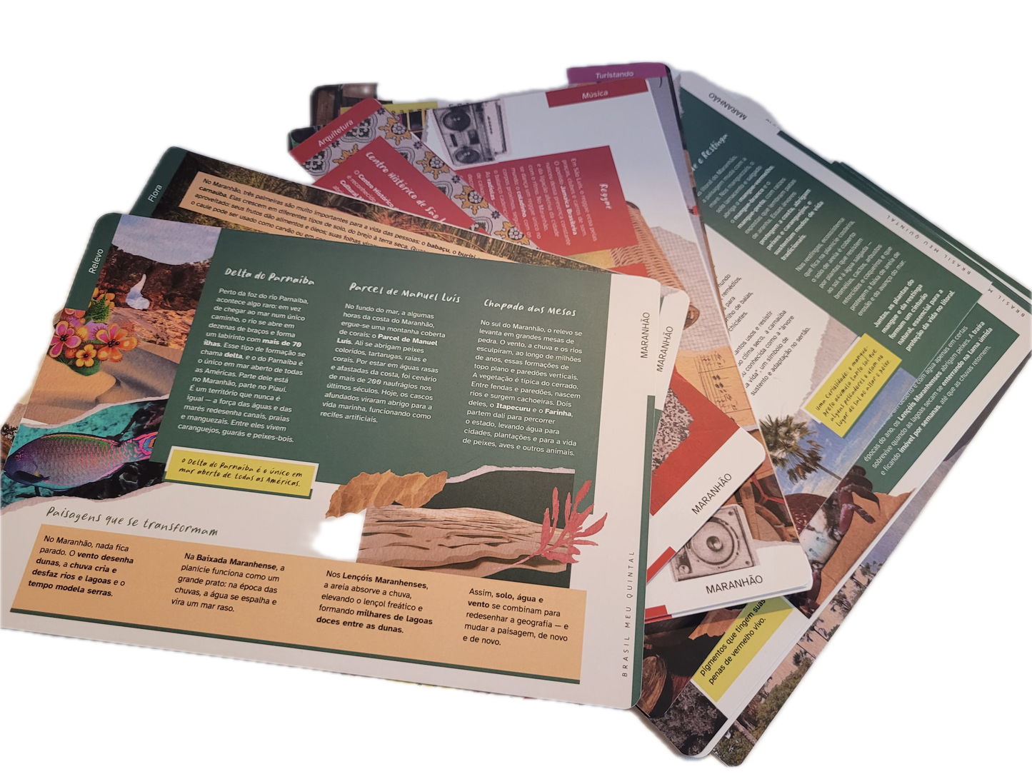 assinatura anual (pagamento recorrente)