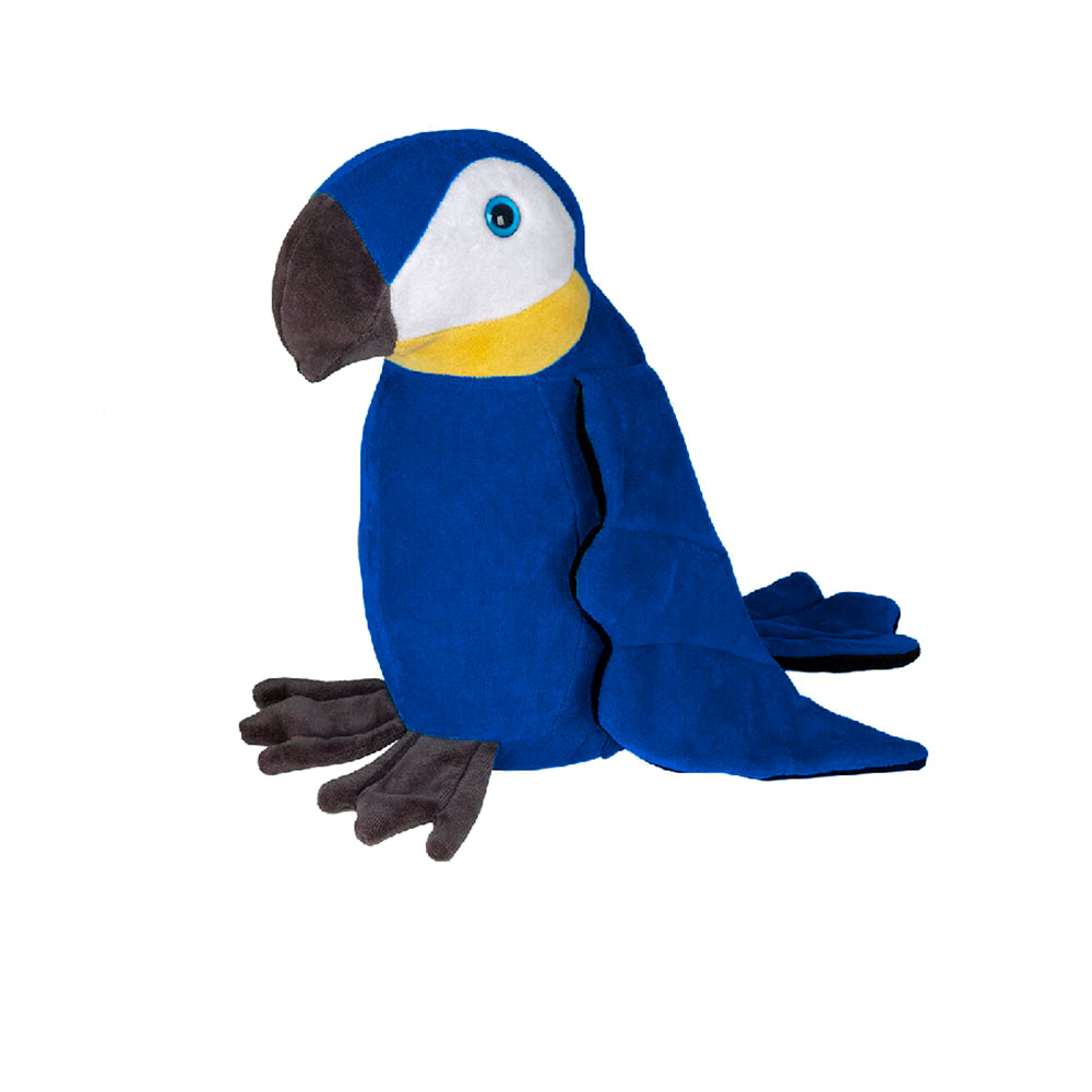 Arara Azul