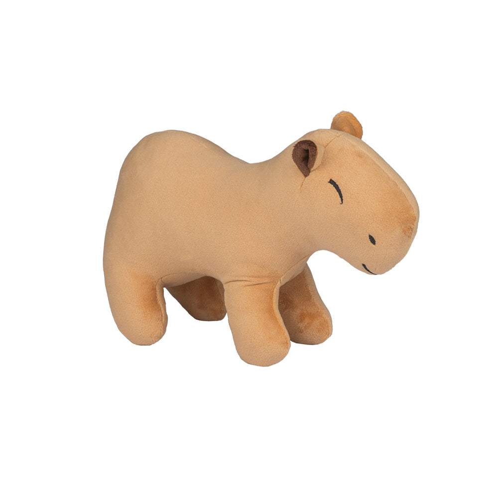 Capivara baby