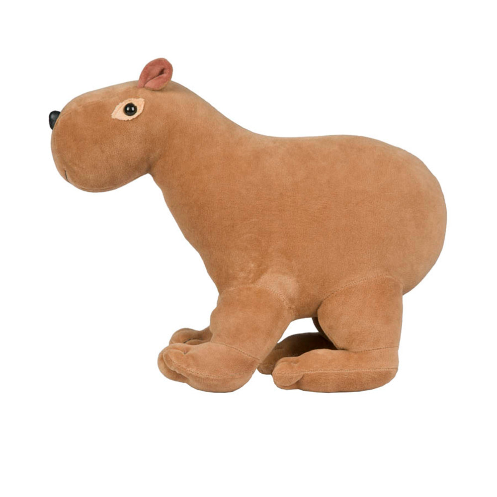Capivara Roi roi