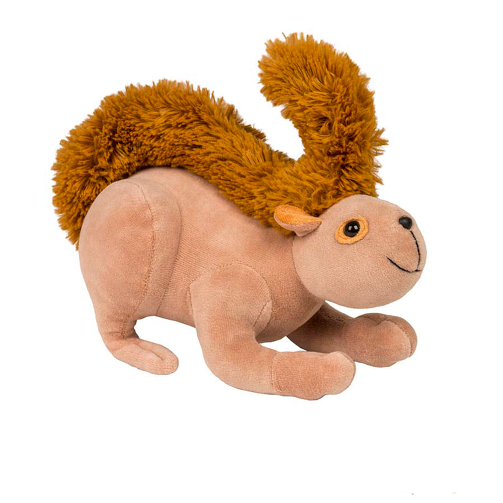 Caxinguele
