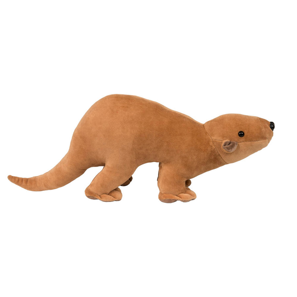 Lontra Tortinha