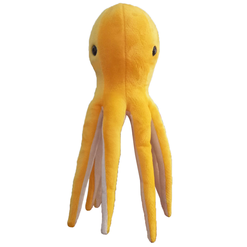 Polvo